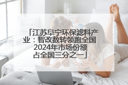 江苏阜宁环保滤料产业：智改数转领跑全国 2024年市场份额占全国三分之一