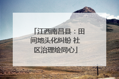 江西南昌县：田间地头化纠纷 社区治理绘同心