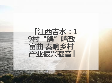 江西吉水：19村“鸽”鸣致富曲 奏响乡村产业振兴强音