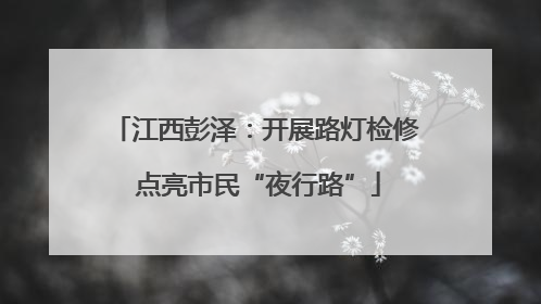 江西彭泽：开展路灯检修 点亮市民“夜行路”