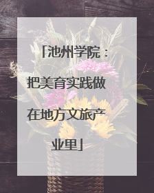 池州学院：把美育实践做在地方文旅产业里