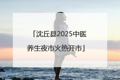 沈丘县2025中医养生夜市火热开市