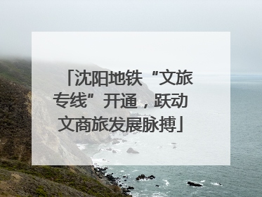 沈阳地铁“文旅专线”开通，跃动文商旅发展脉搏