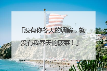 没有你冬天的调解，就没有我春天的菠菜！