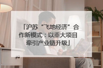 沪苏“飞地经济”合作新模式：以重大项目牵引产业链升级
