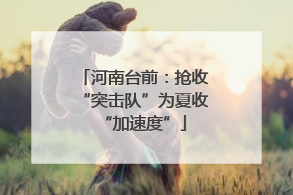 河南台前：抢收“突击队”为夏收“加速度”