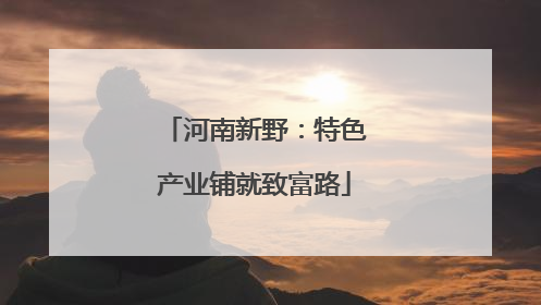 河南新野：特色产业铺就致富路