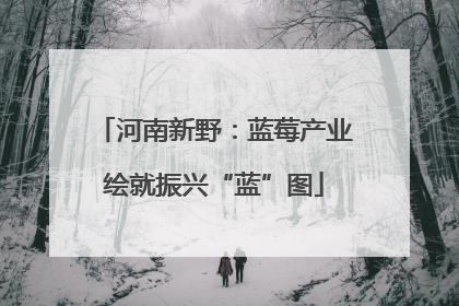 河南新野：蓝莓产业绘就振兴“蓝”图