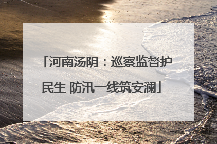 河南汤阴：巡察监督护民生 防汛一线筑安澜
