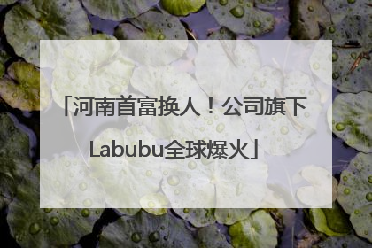 河南首富换人！公司旗下Labubu全球爆火