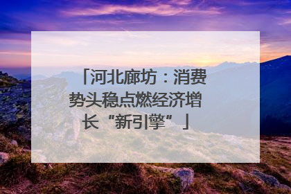 河北廊坊：消费势头稳点燃经济增长“新引擎”