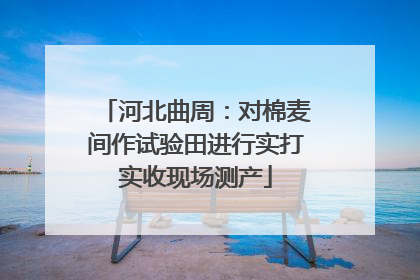 河北曲周：对棉麦间作试验田进行实打实收现场测产