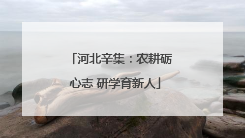 河北辛集：农耕砺心志 研学育新人