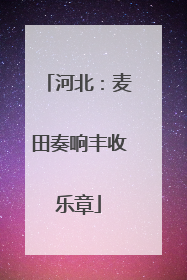 河北：麦田奏响丰收乐章