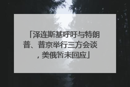 泽连斯基呼吁与特朗普、普京举行三方会谈，美俄暂未回应