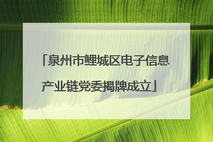 泉州市鲤城区电子信息产业链党委揭牌成立