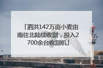 泗洪142万亩小麦由南往北陆续收割，投入2700余台收割机