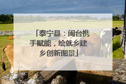 泰宁县：闽台携手赋能，绘就乡建乡创新图景