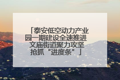 泰安低空动力产业园一期建设全速推进 文庙街道聚力攻坚抢抓“进度条”