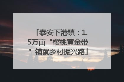 泰安下港镇：1.5万亩“樱桃黄金带”铺就乡村振兴路