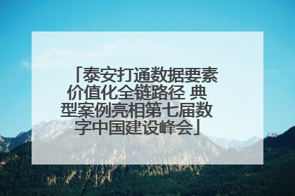泰安打通数据要素价值化全链路径 典型案例亮相第七届数字中国建设峰会