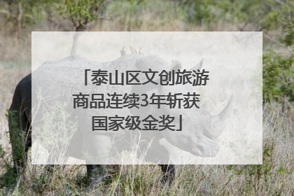 泰山区文创旅游商品连续3年斩获国家级金奖
