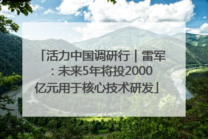 活力中国调研行｜雷军：未来5年将投2000亿元用于核心技术研发
