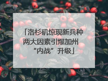 洛杉矶惊现新兵种 两大因素引爆加州“内战”升级