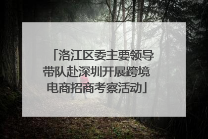 洛江区委主要领导带队赴深圳开展跨境电商招商考察活动