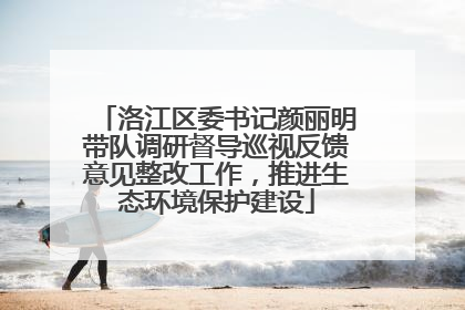 洛江区委书记颜丽明带队调研督导巡视反馈意见整改工作，推进生态环境保护建设