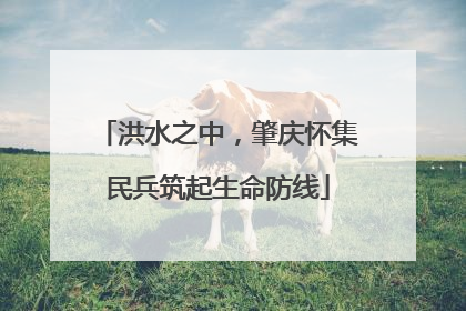 洪水之中，肇庆怀集民兵筑起生命防线