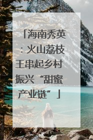 海南秀英：火山荔枝王串起乡村振兴“甜蜜产业链”
