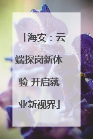海安：云端探岗新体验 开启就业新视界