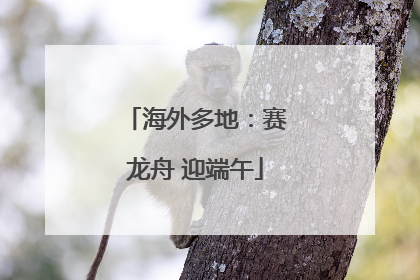 海外多地：赛龙舟 迎端午