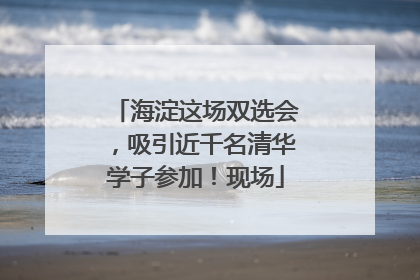 海淀这场双选会，吸引近千名清华学子参加！现场