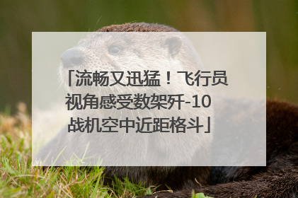 流畅又迅猛！飞行员视角感受数架歼-10战机空中近距格斗