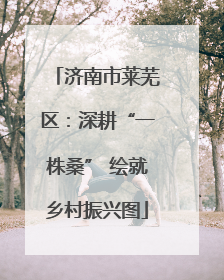 济南市莱芜区：深耕“一株桑” 绘就乡村振兴图