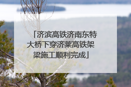 济滨高铁济南东特大桥下穿济莱高铁架梁施工顺利完成