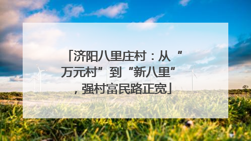 济阳八里庄村：从“万元村”到“新八里”，强村富民路正宽