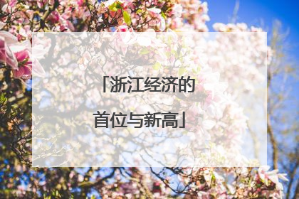 浙江经济的首位与新高