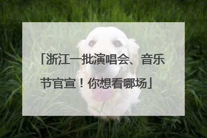 浙江一批演唱会、音乐节官宣！你想看哪场