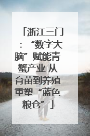浙江三门：“数字大脑”赋能青蟹产业 从育苗到养殖重塑“蓝色粮仓”