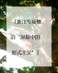 浙江专项整治“屏幕中的形式主义”