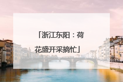 浙江东阳：荷花盛开采摘忙