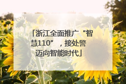浙江全面推广“智慧110”，接处警迈向智能时代