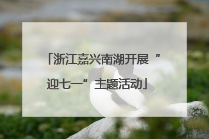 浙江嘉兴南湖开展“迎七一”主题活动
