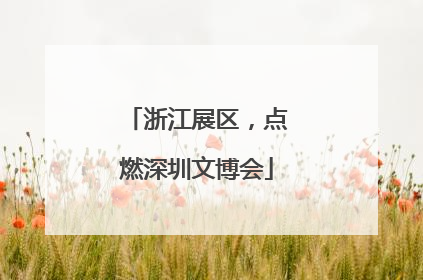 浙江展区，点燃深圳文博会