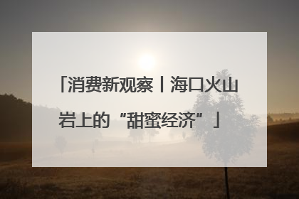 消费新观察丨海口火山岩上的“甜蜜经济”