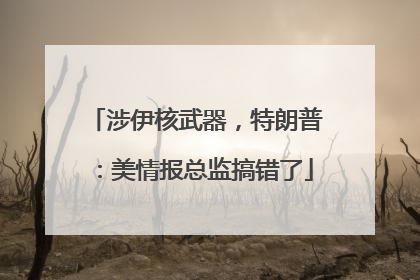 涉伊核武器，特朗普：美情报总监搞错了
