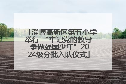 淄博高新区第五小学举行 “牢记党的教导 争做强国少年”2024级分批入队仪式